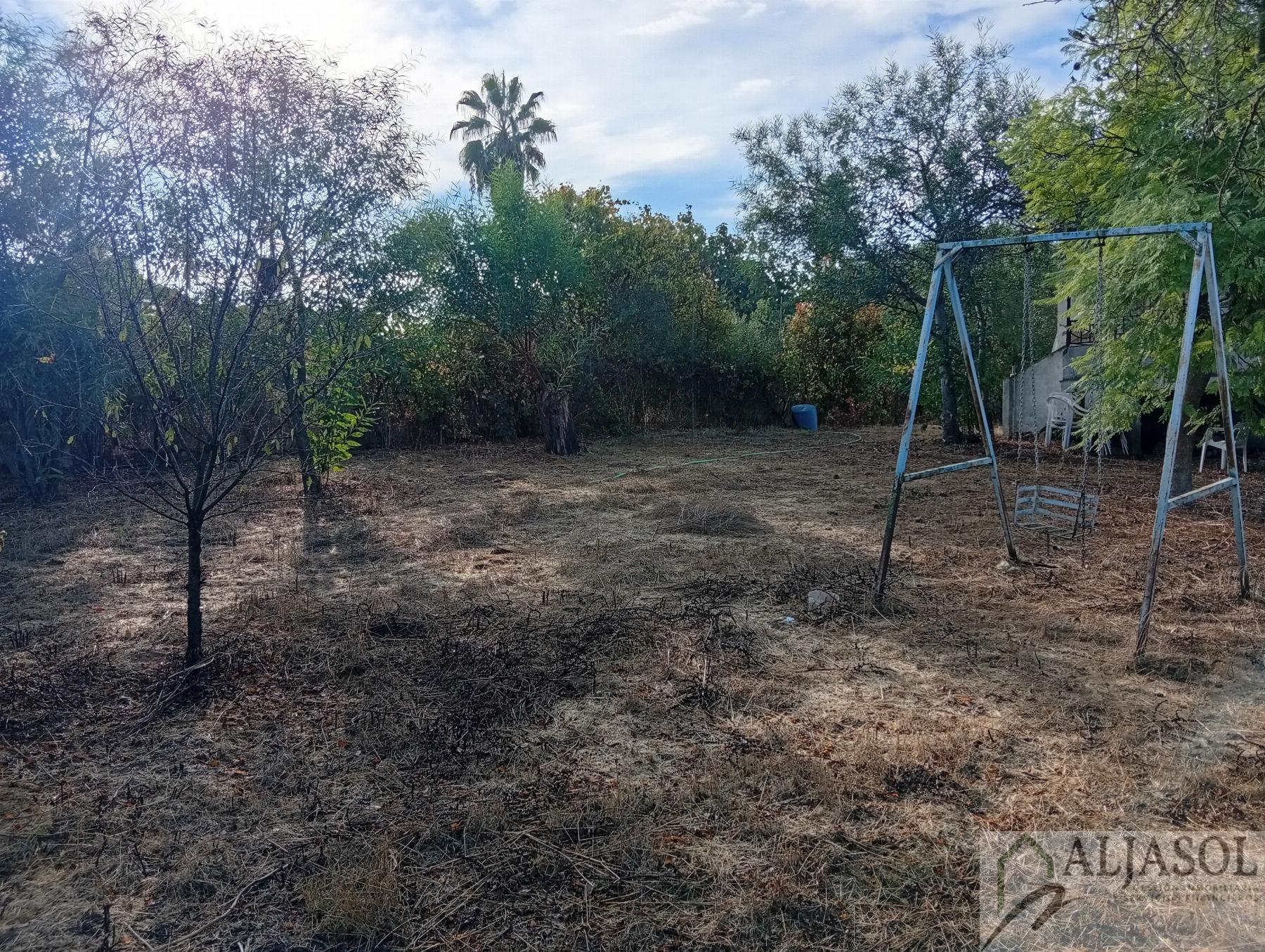 Venta de finca rústica en La Puebla del Río