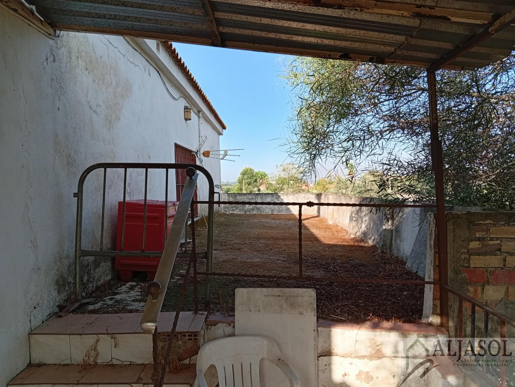 Venta de finca rústica en La Puebla del Río