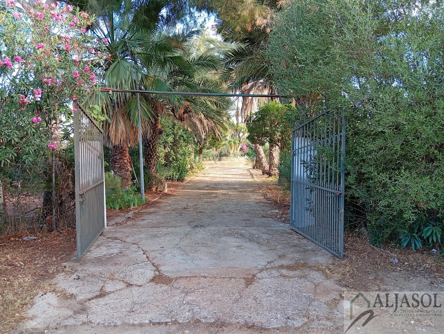 Venta de finca rústica en La Puebla del Río