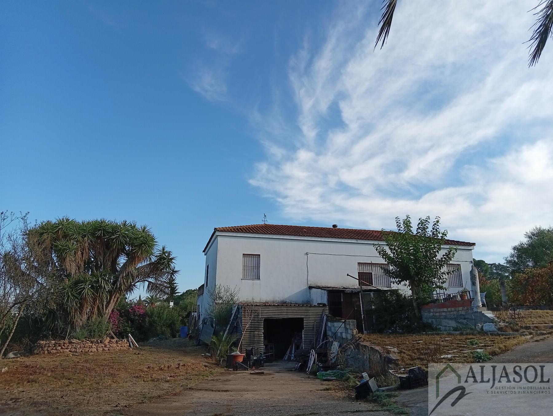 Venta de finca rústica en La Puebla del Río