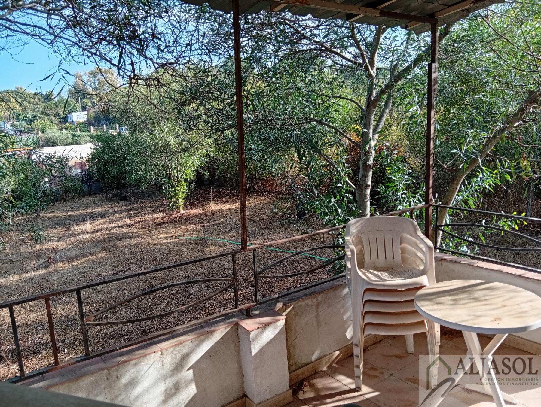 Venta de finca rústica en La Puebla del Río