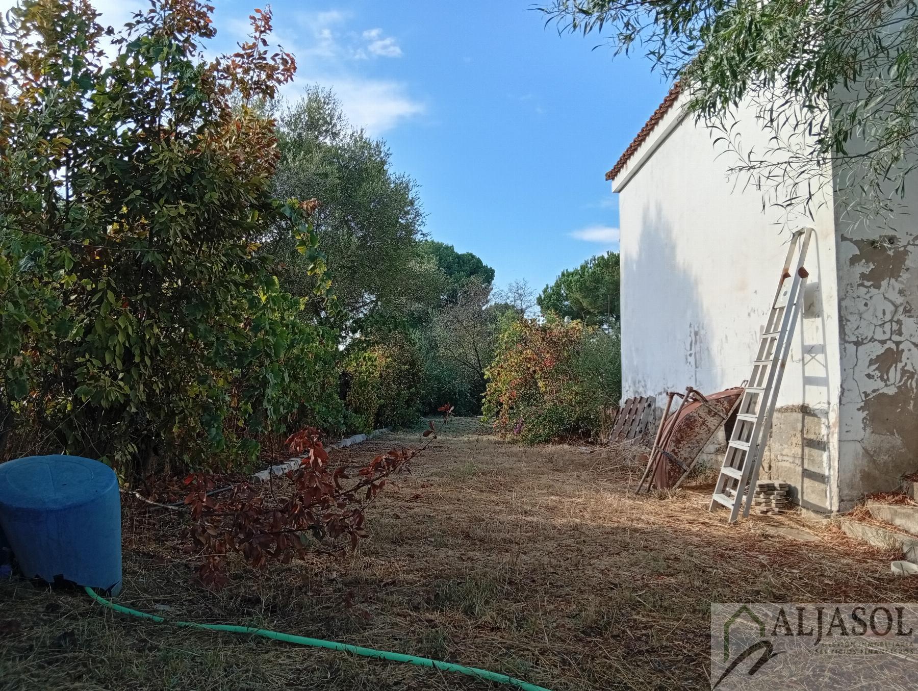 Venta de finca rústica en La Puebla del Río