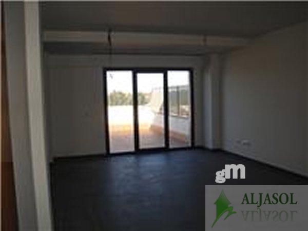  of office in Gines
