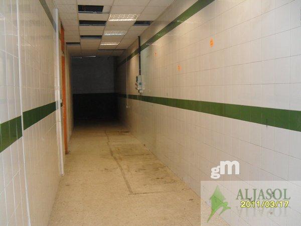 For rent of industrial plant/warehouse in Tomares