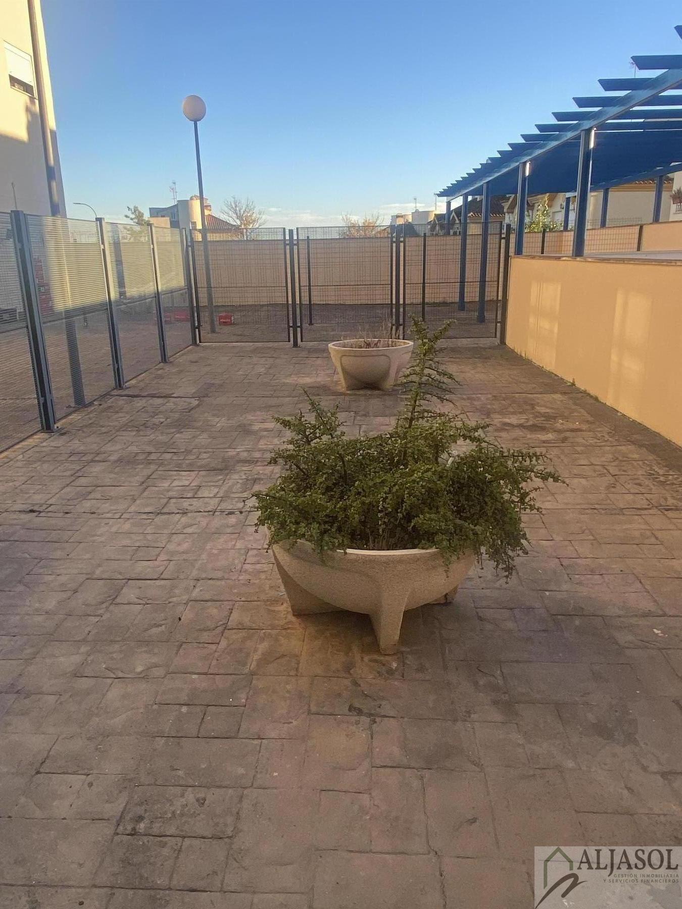 For rent of flat in Bormujos