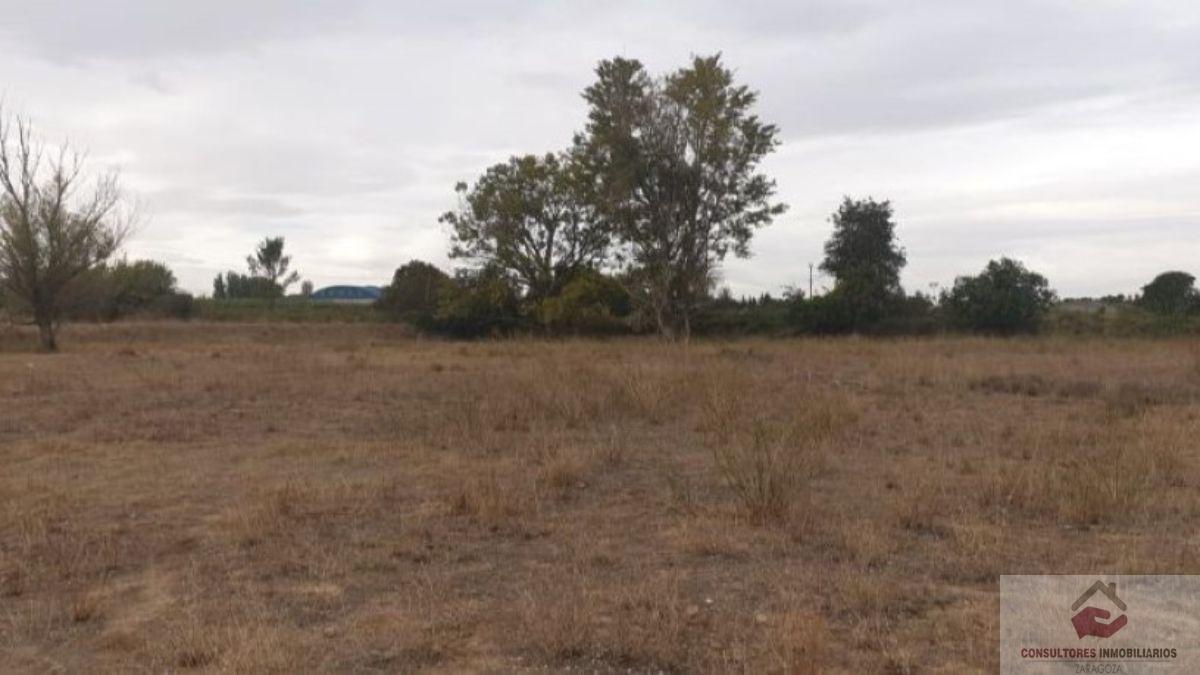 For sale of land in Zaragoza