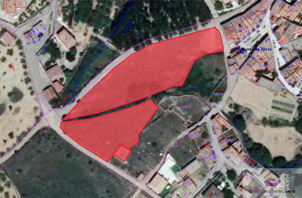 For sale of land in Villanueva de Jiloca