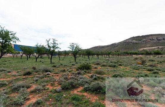 Venta de terreno en ALHAMA DE ARAGÓN