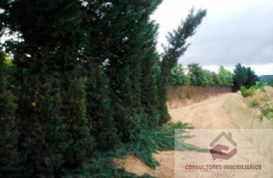 For sale of land in MORATA DE JILOCA