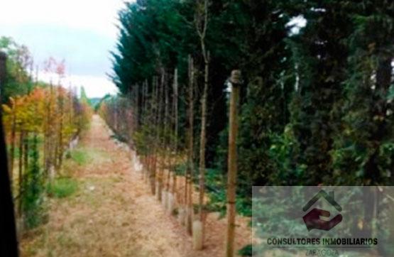 For sale of land in MORATA DE JILOCA