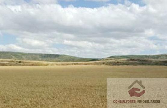 For sale of land in TARAZONA