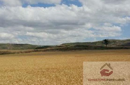 For sale of land in TARAZONA