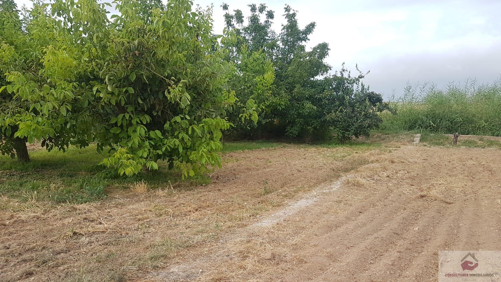 For sale of land in Zaragoza