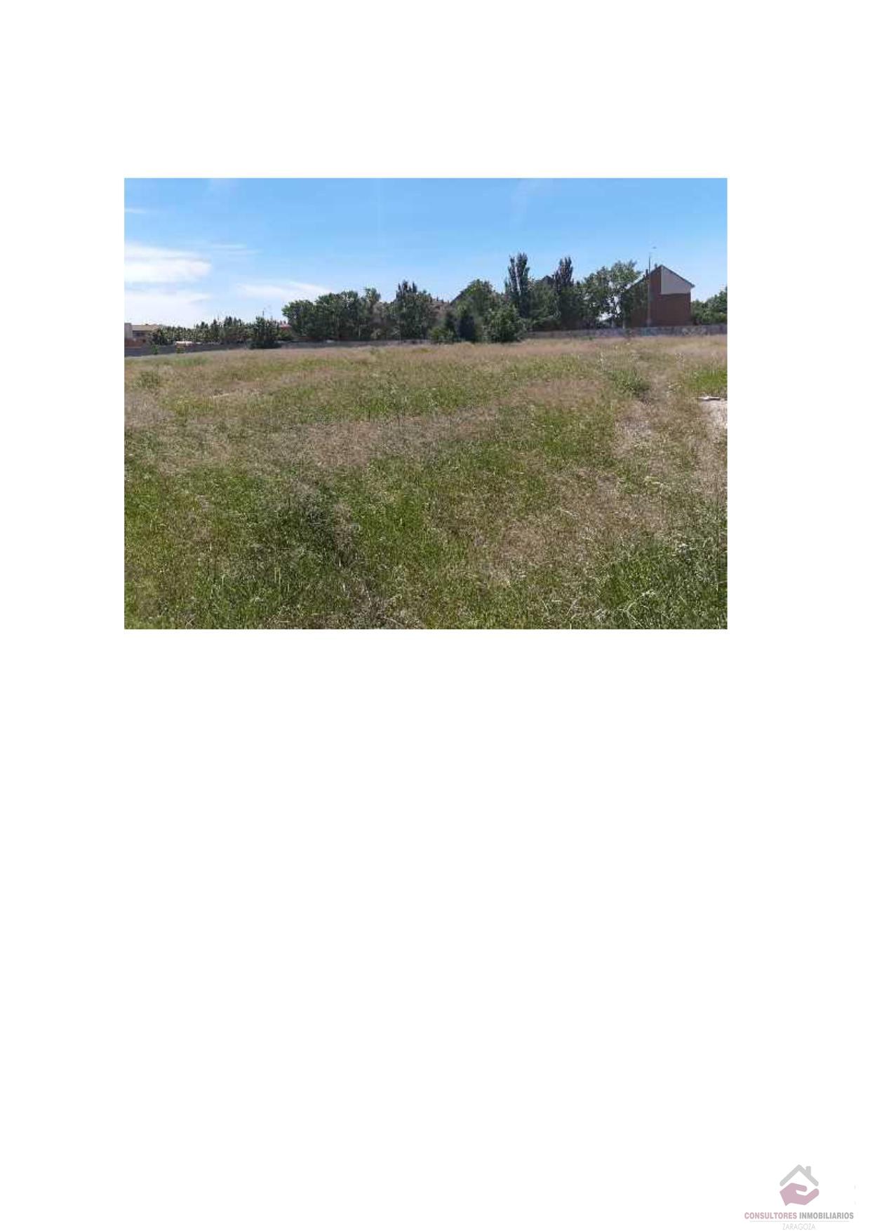 For sale of land in La Puebla de Alfindén