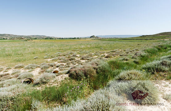 Venta de terreno en Luna