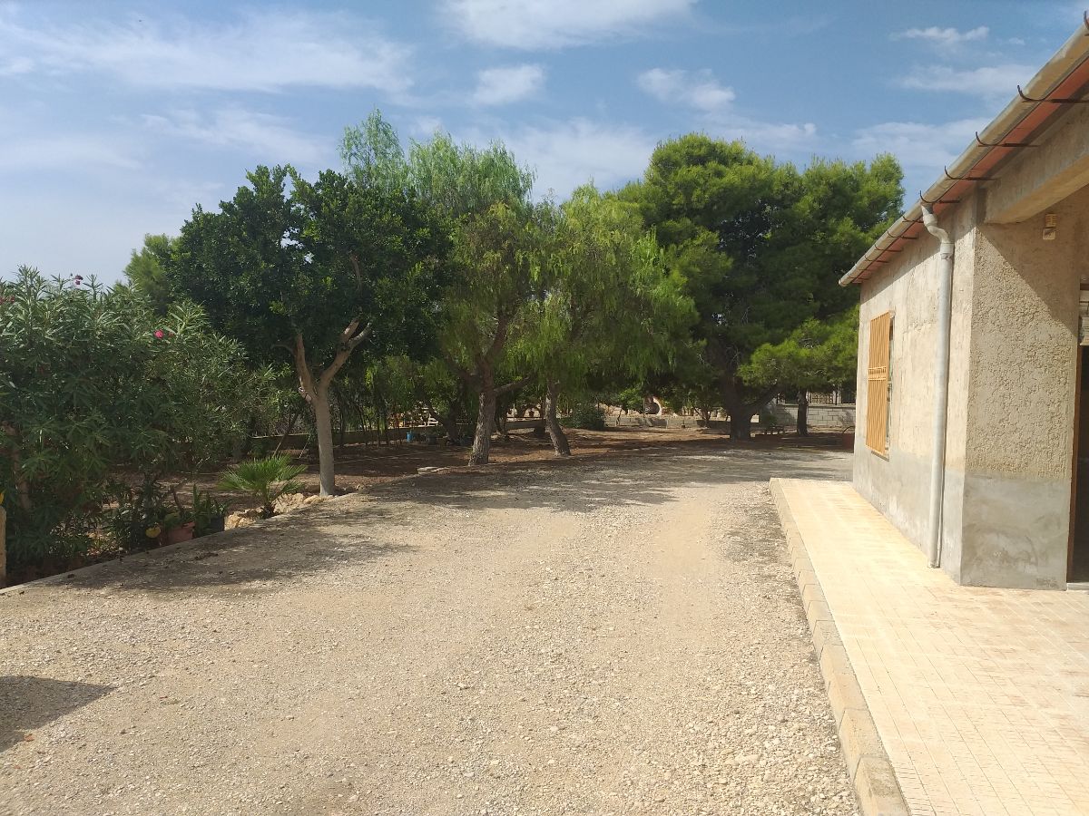 For sale of house in Elche-Elx