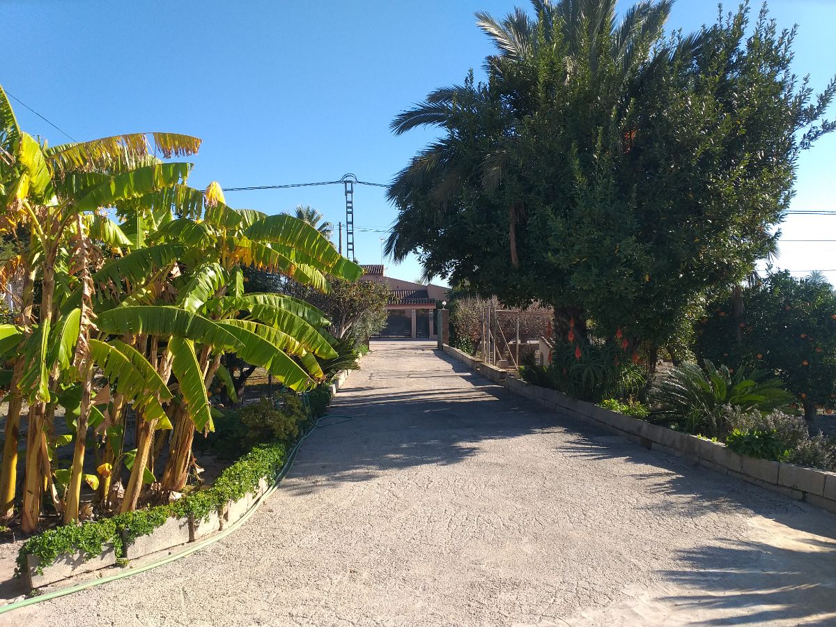 Venta de finca rústica en Elche-Elx