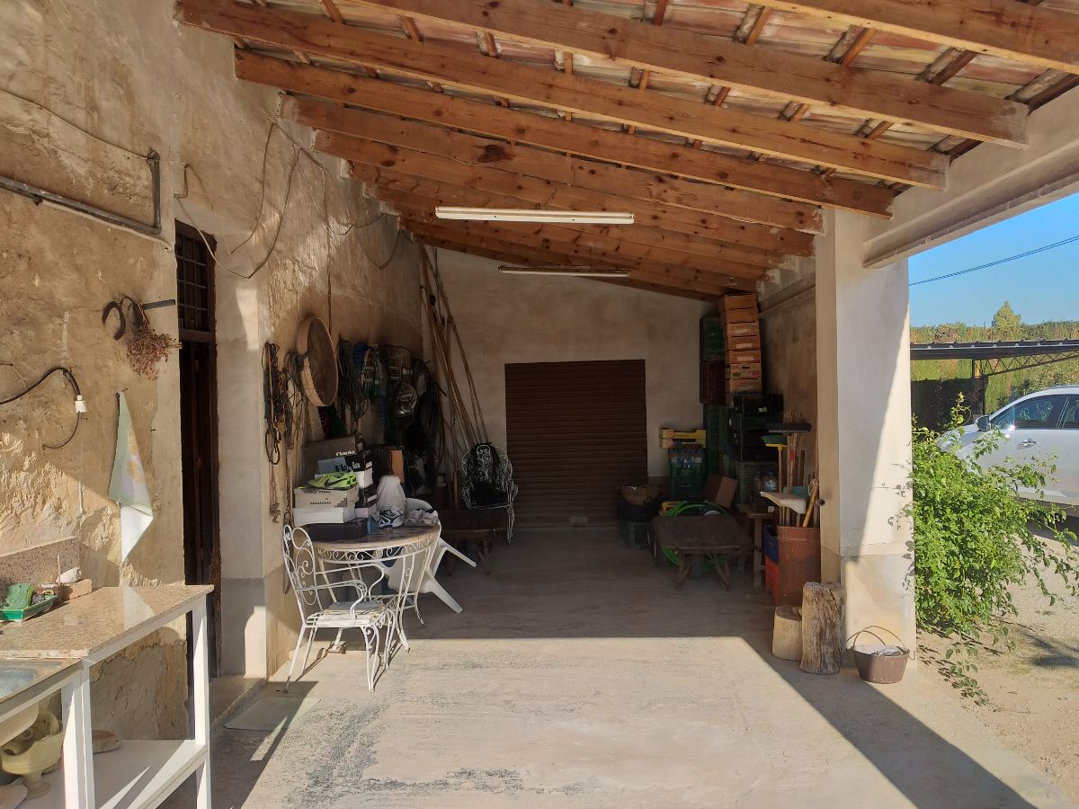 Venta de finca rústica en Elche-Elx