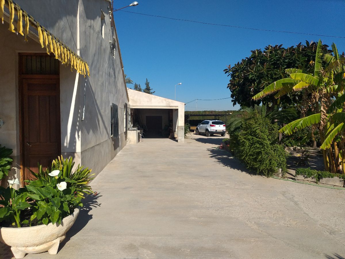 Venta de finca rústica en Elche-Elx