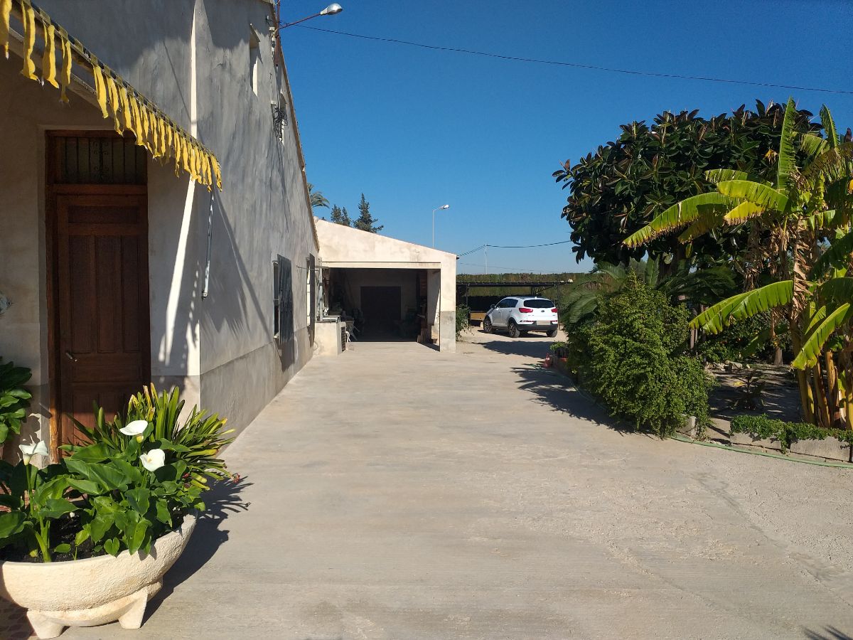 For sale of rural property in Elche-Elx