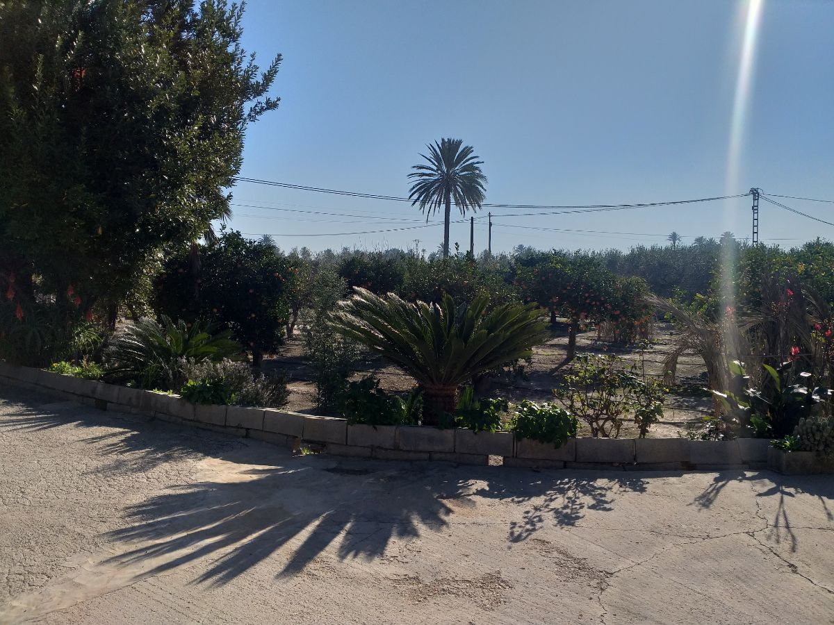 بيع من الشاليه في Elche-Elx