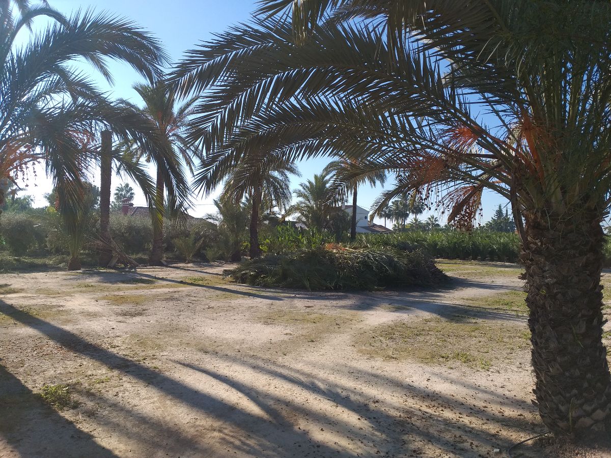 بيع من الشاليه في Elche-Elx