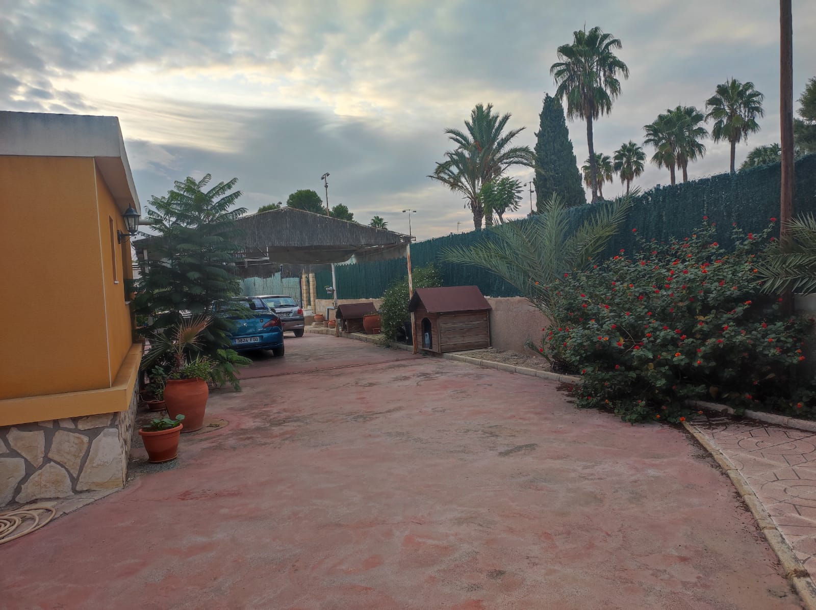 For sale of chalet in Elche-Elx