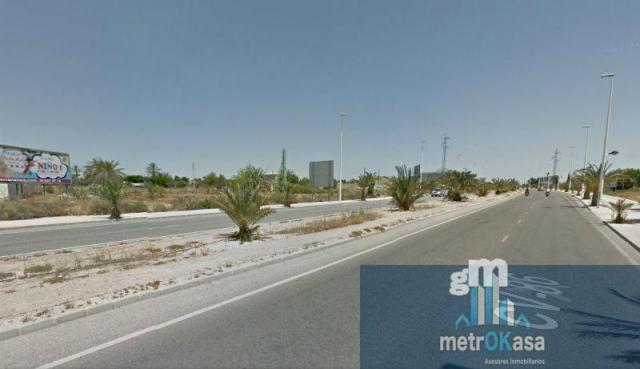 For rent of land in Elche-Elx