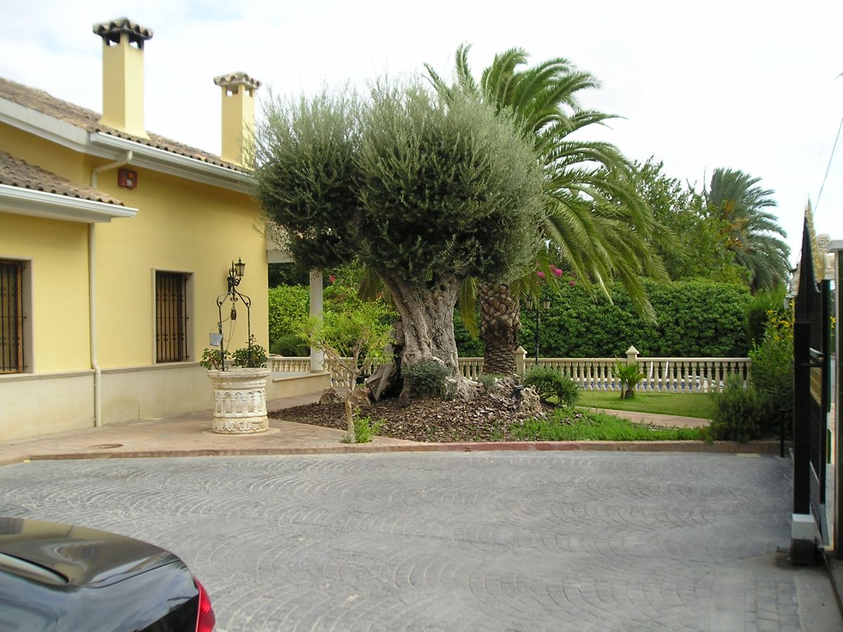 For sale of chalet in Elche-Elx