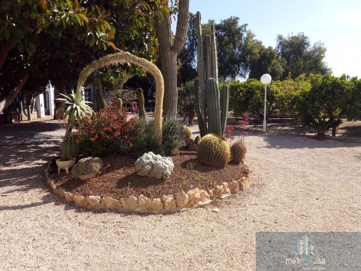 Venta de chalet en Elche-Elx