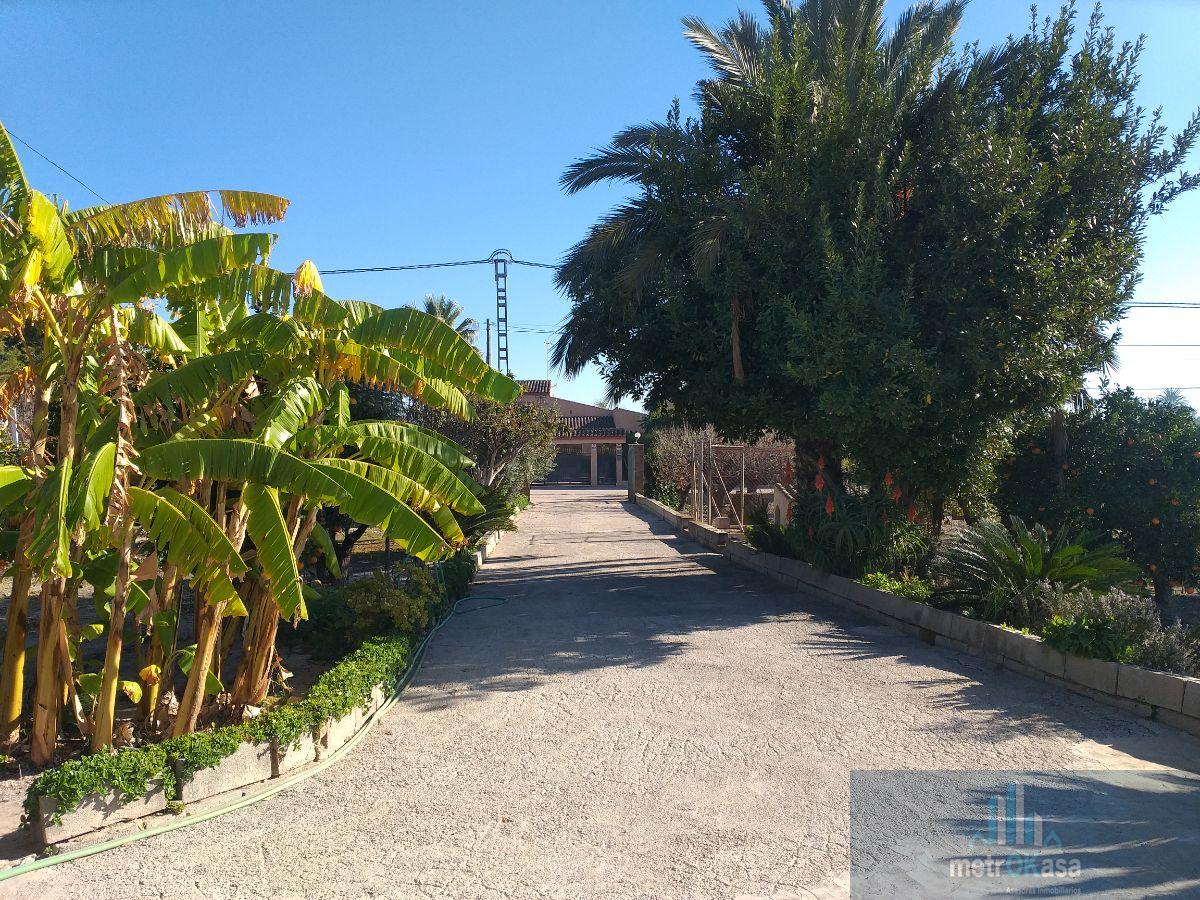 Venta de finca rústica en Elche-Elx