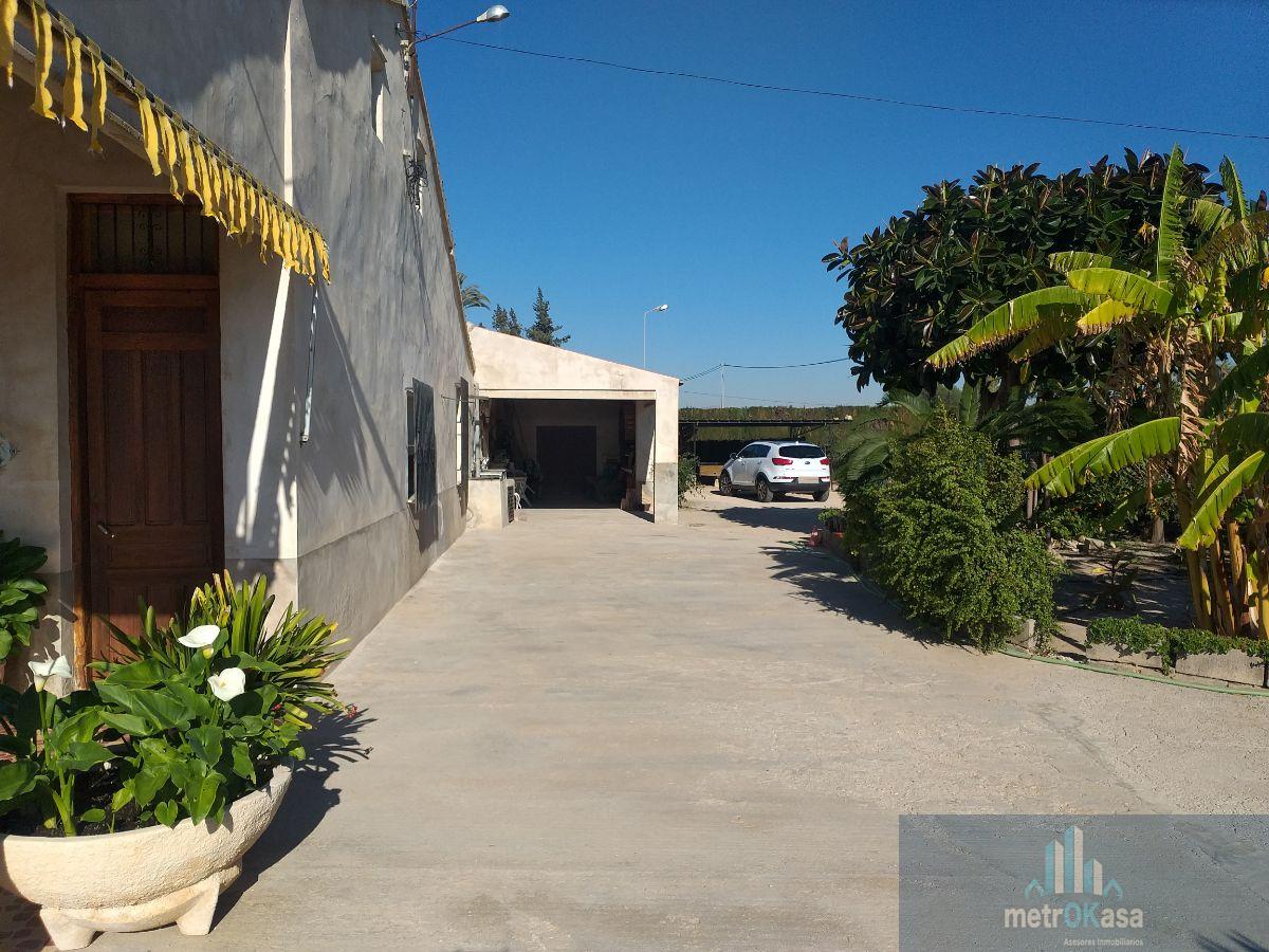 Venta de finca rústica en Elche-Elx