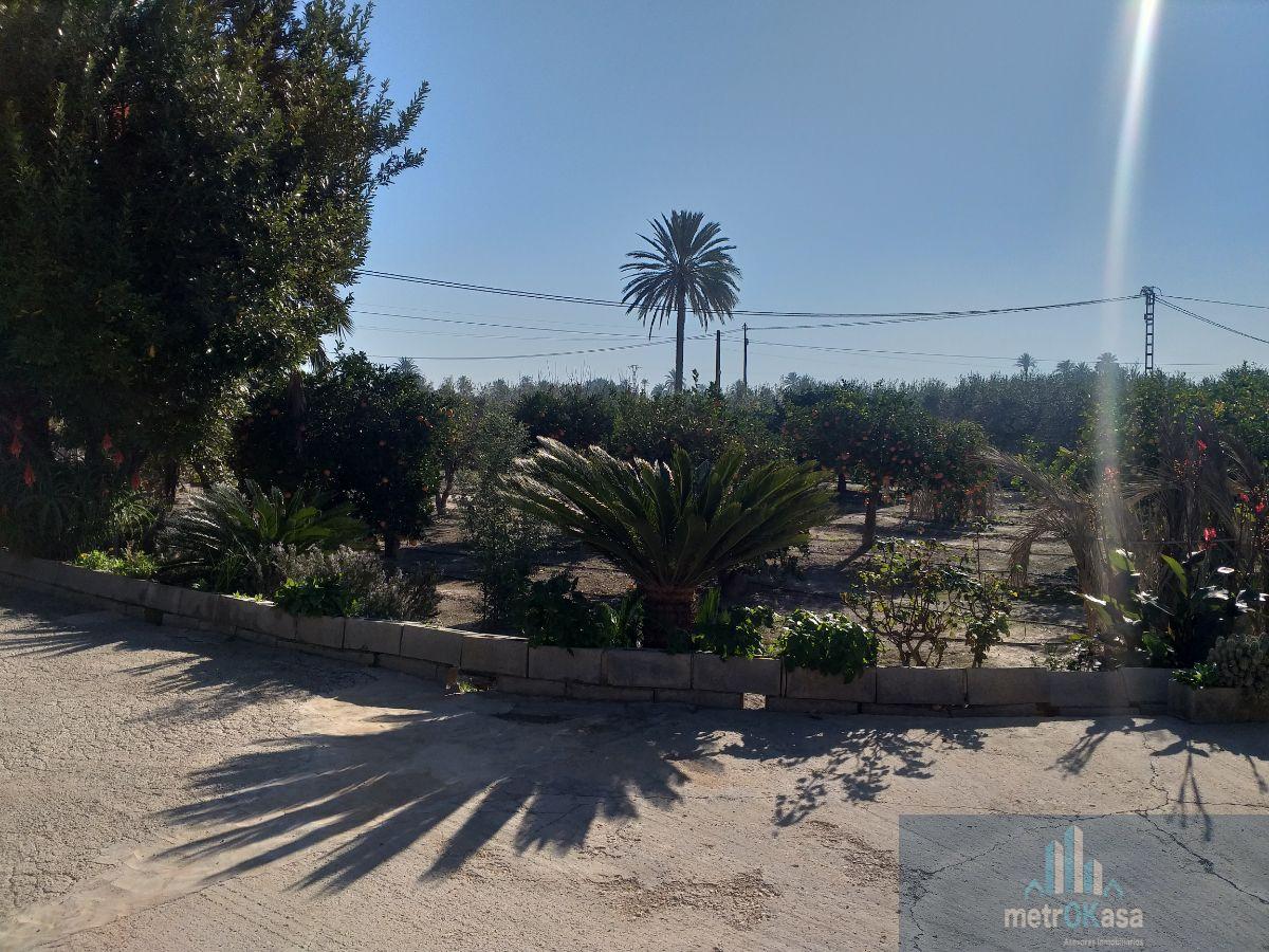 Venta de chalet en Elche-Elx
