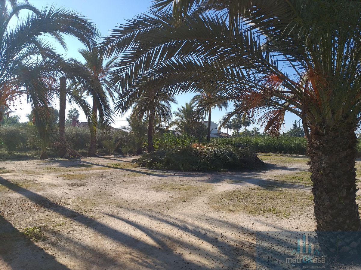 Venta de chalet en Elche-Elx