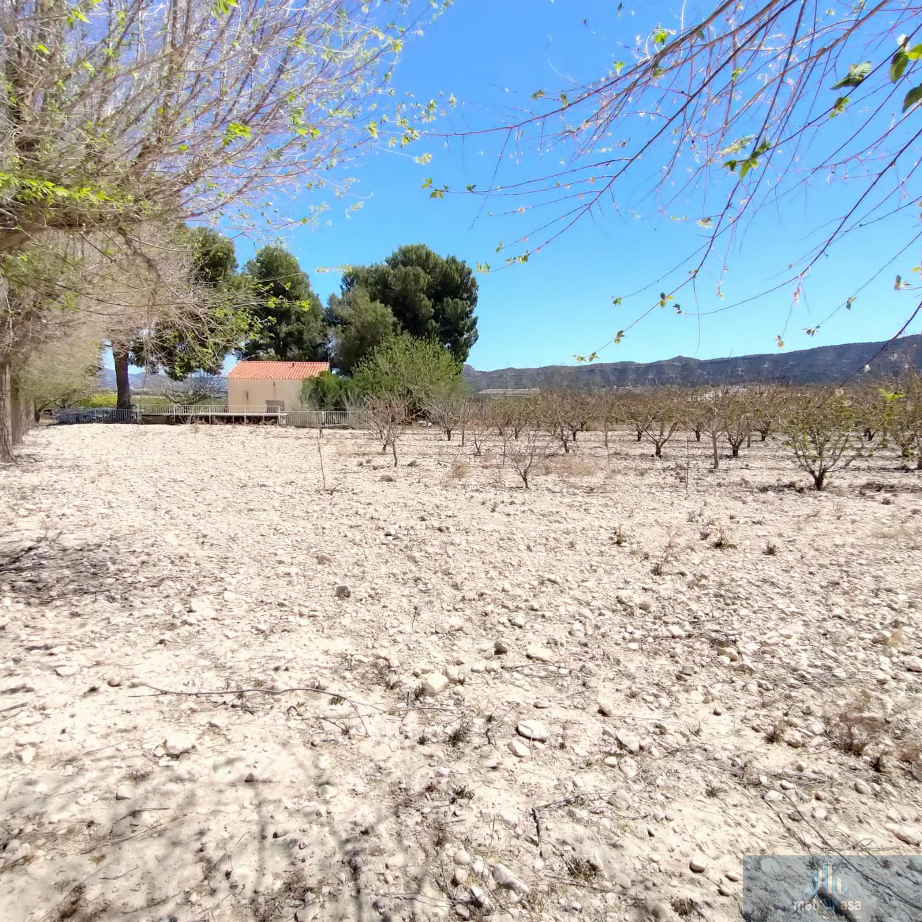 Venta de finca rústica en Salinas