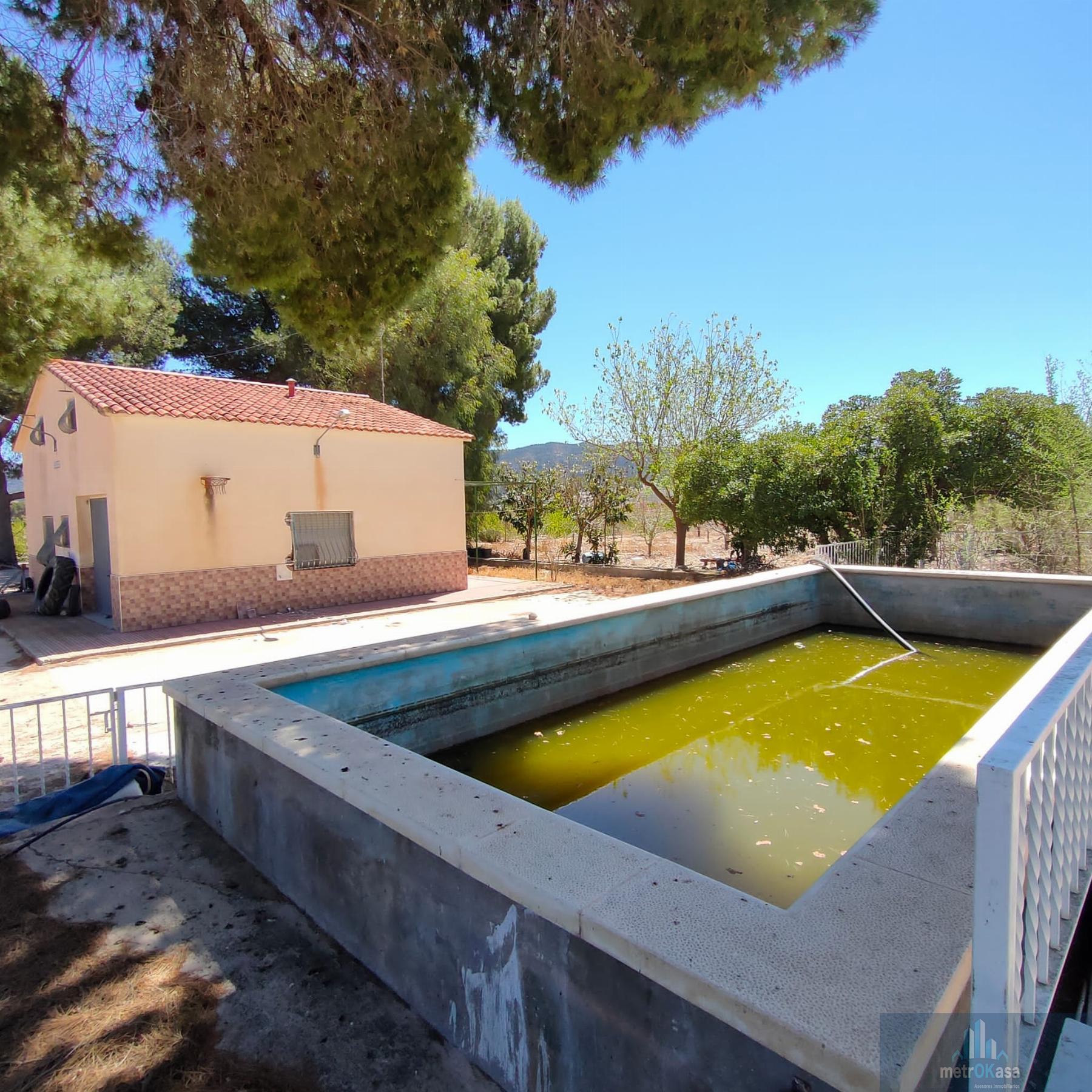 Venta de finca rústica en Salinas