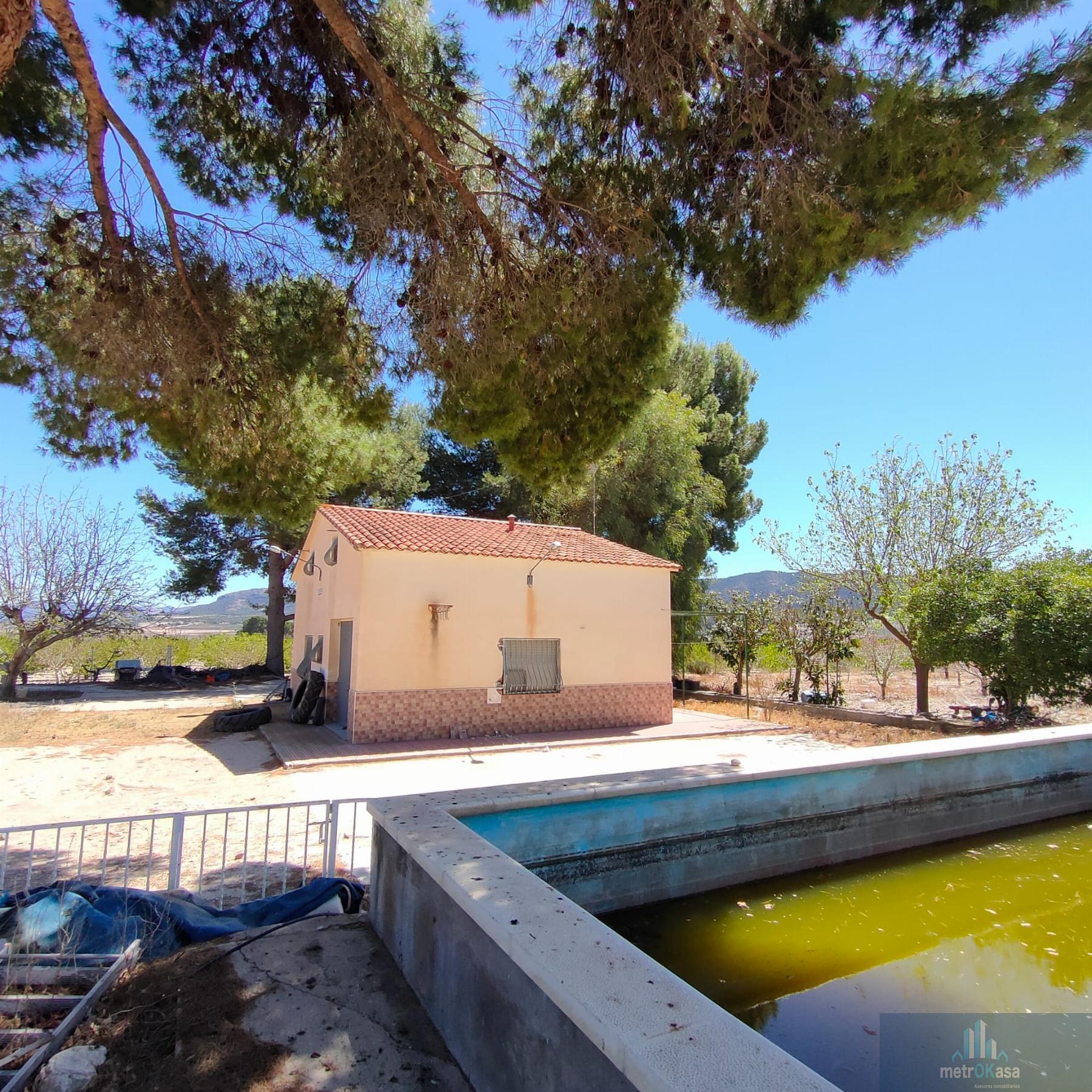 Venta de finca rústica en Salinas