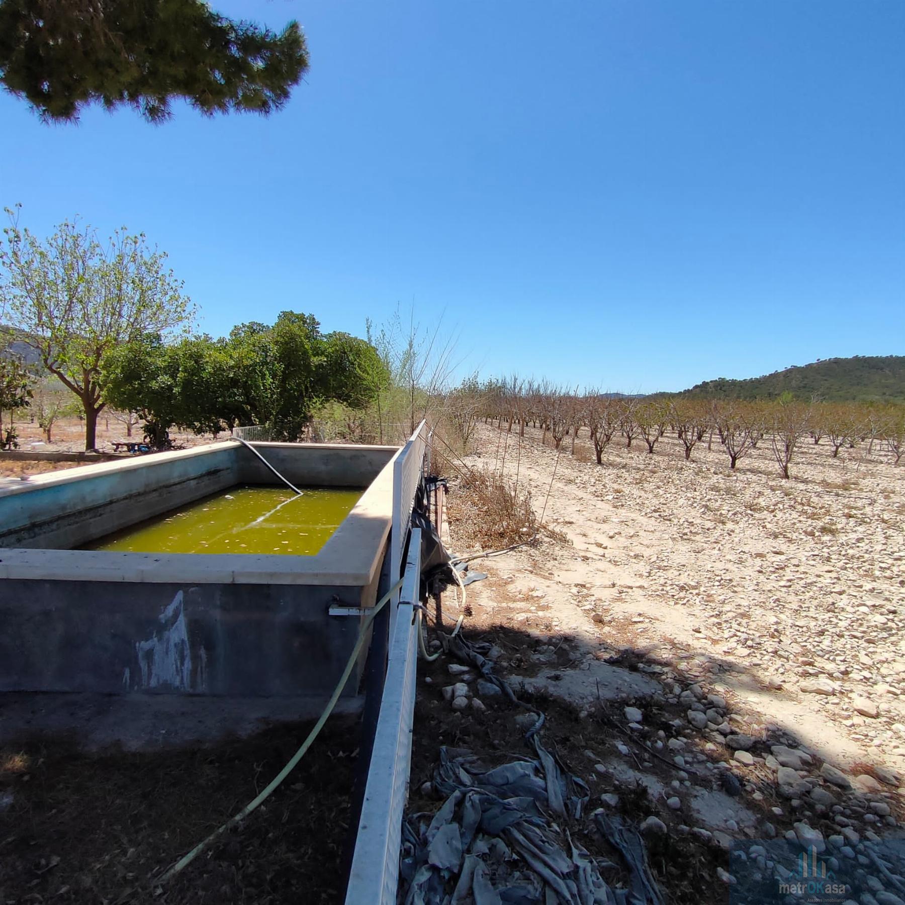 Venta de finca rústica en Salinas