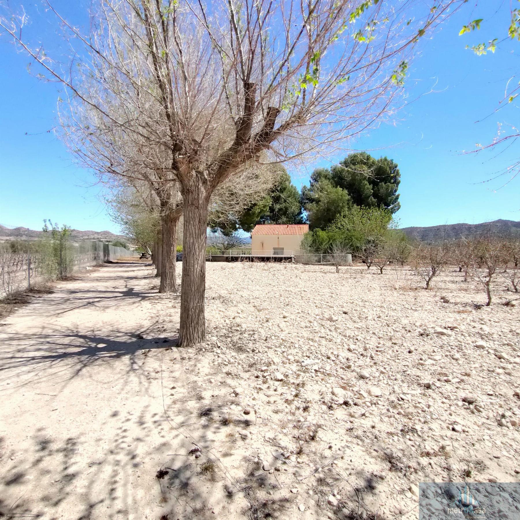 Venta de finca rústica en Salinas