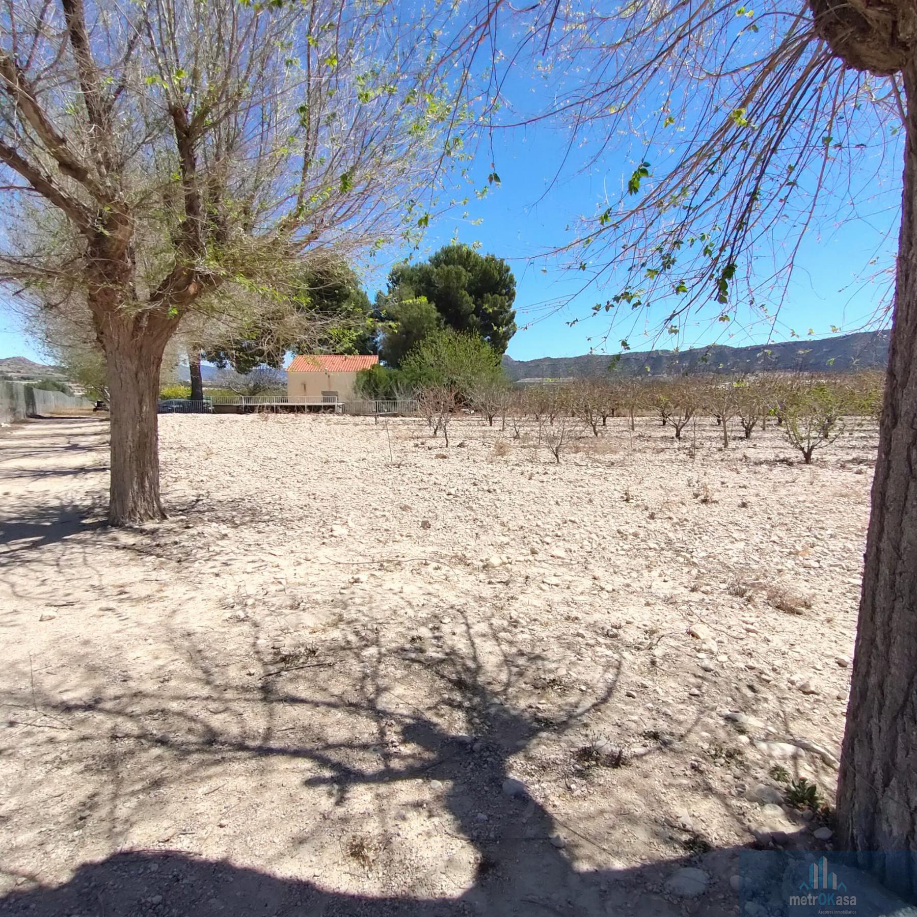 Venta de finca rústica en Salinas