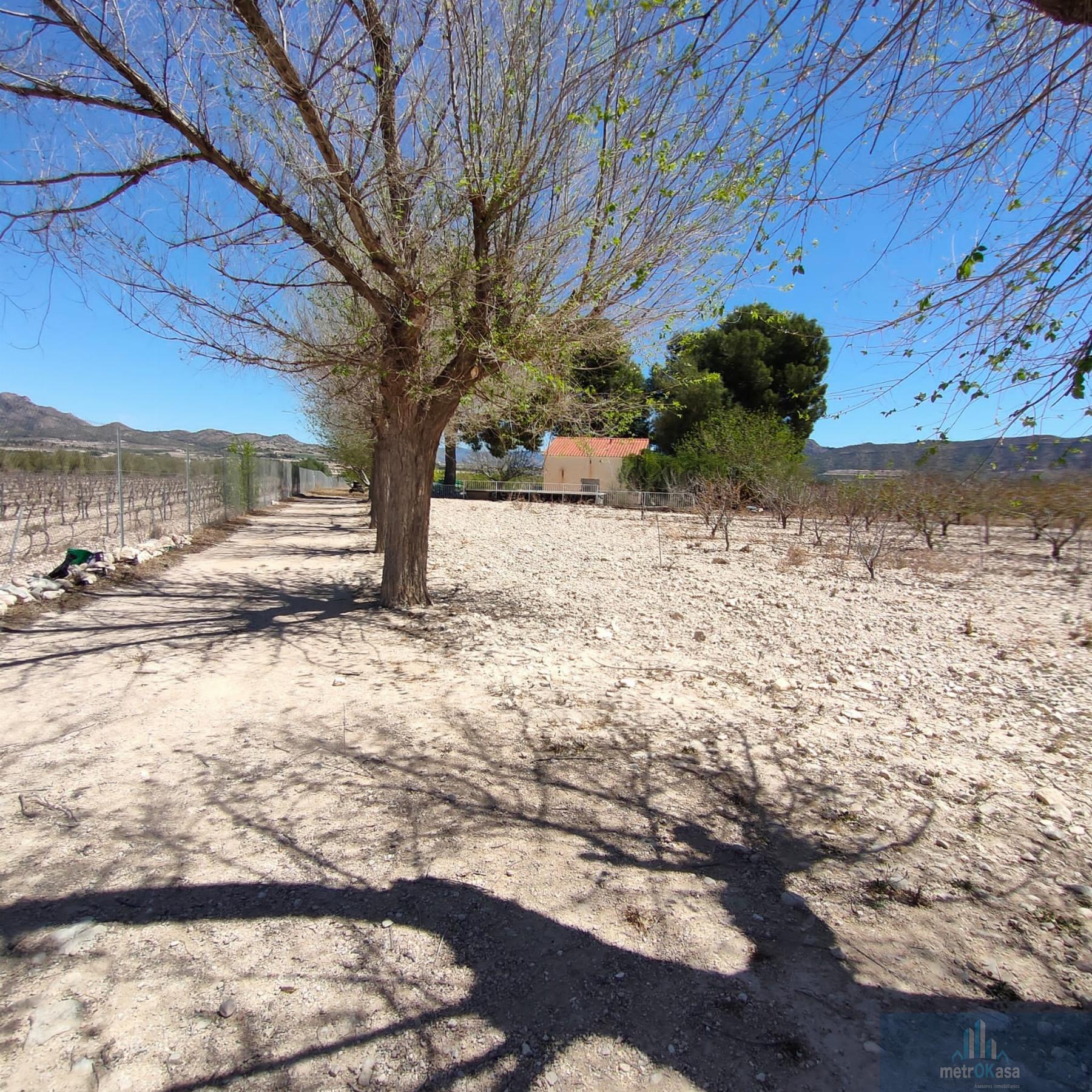 Venta de finca rústica en Salinas