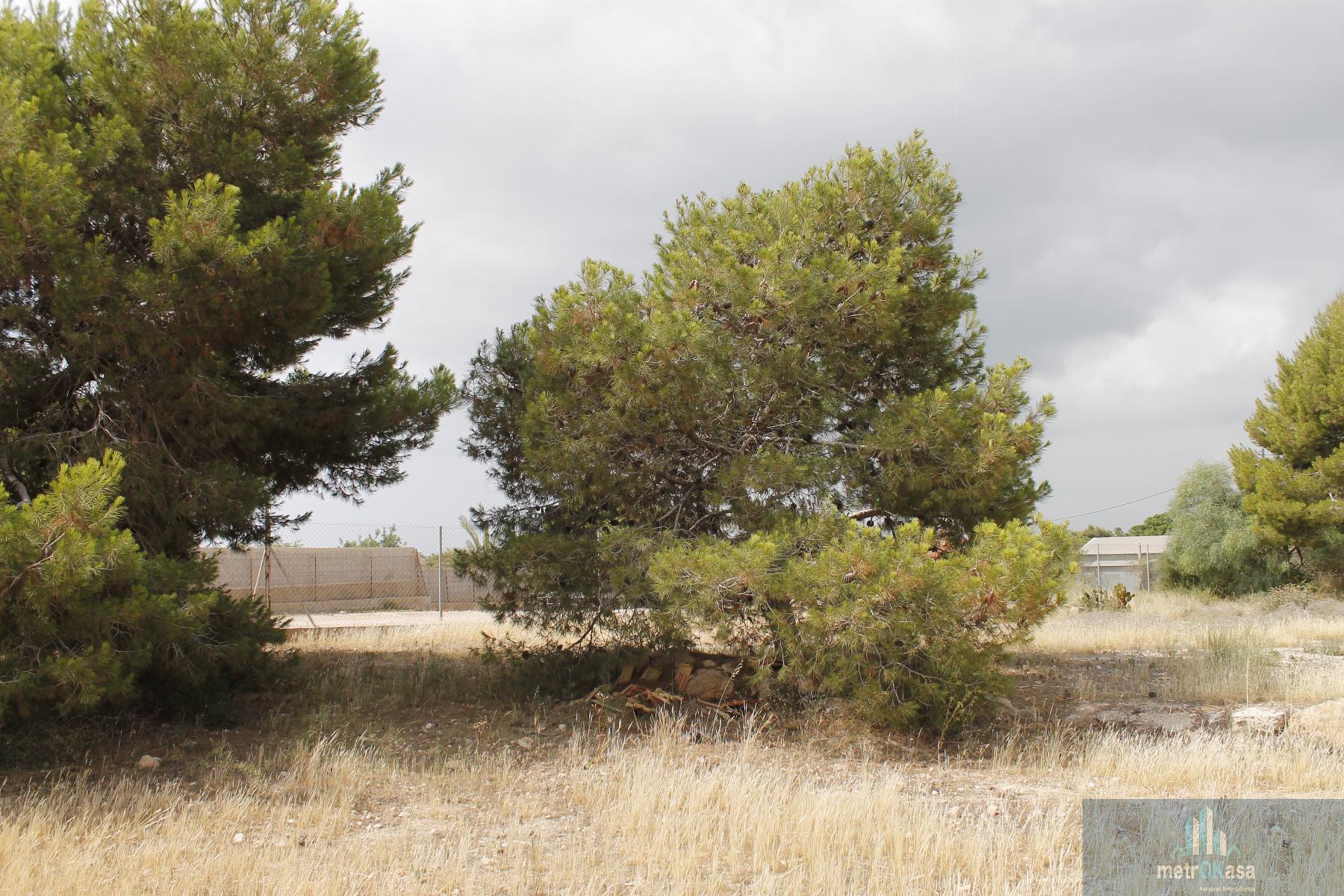 Venta de casa en Elche-Elx