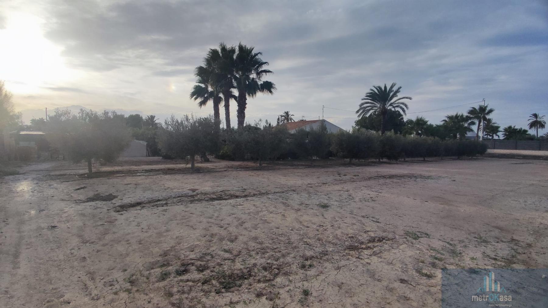 Venta de chalet en Elche-Elx