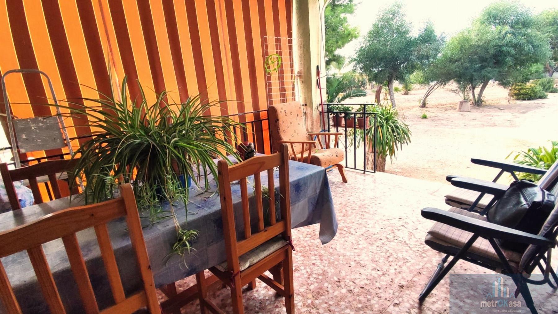 Venta de finca rústica en Elche-Elx