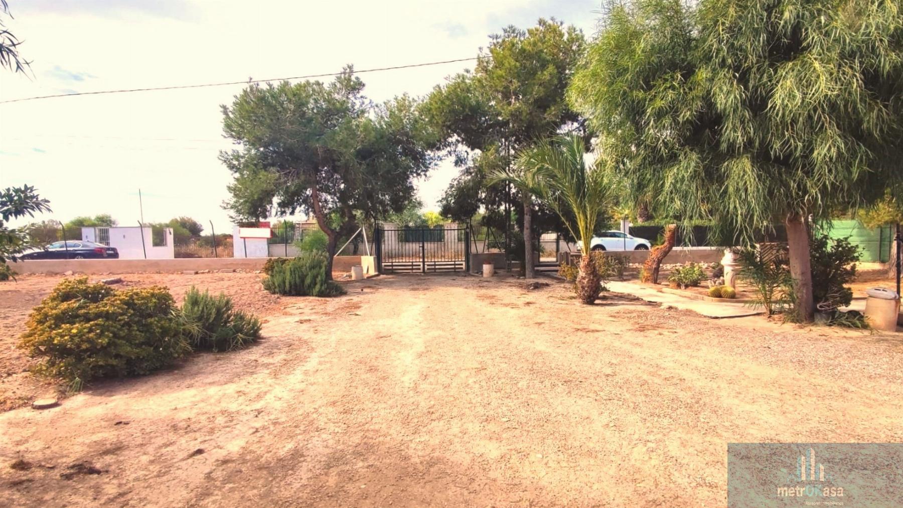 Venta de finca rústica en Elche-Elx
