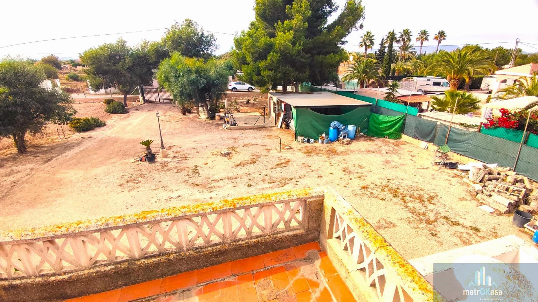 Venta de finca rústica en Elche-Elx