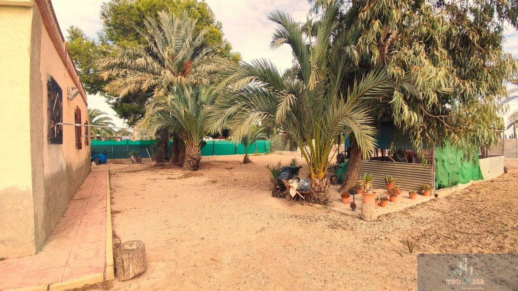 Venta de finca rústica en Elche-Elx