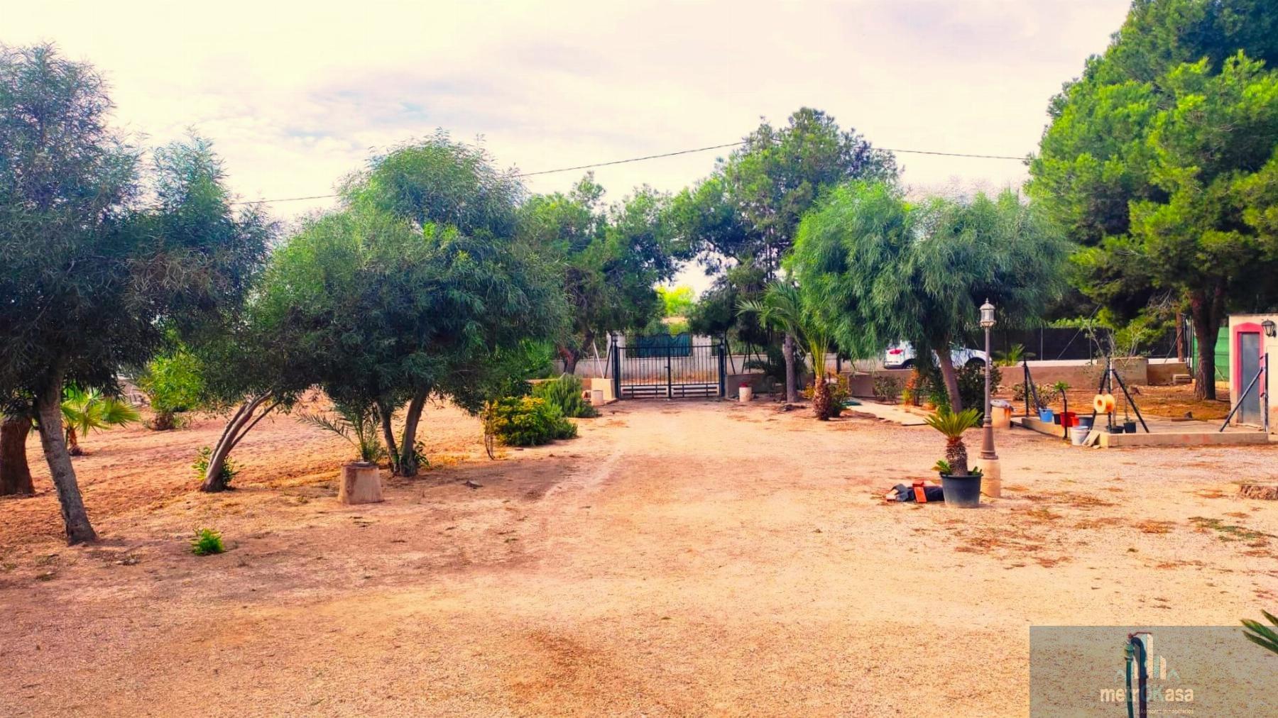 Venta de finca rústica en Elche-Elx