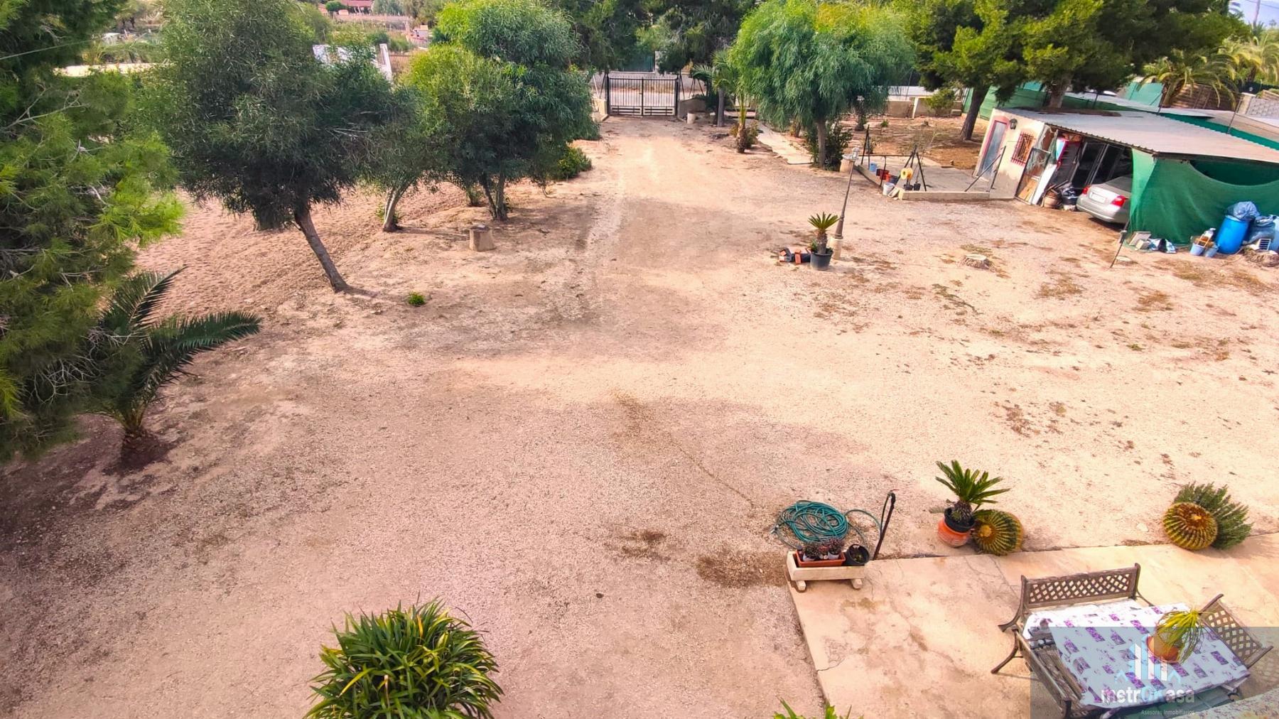 Venta de finca rústica en Elche-Elx