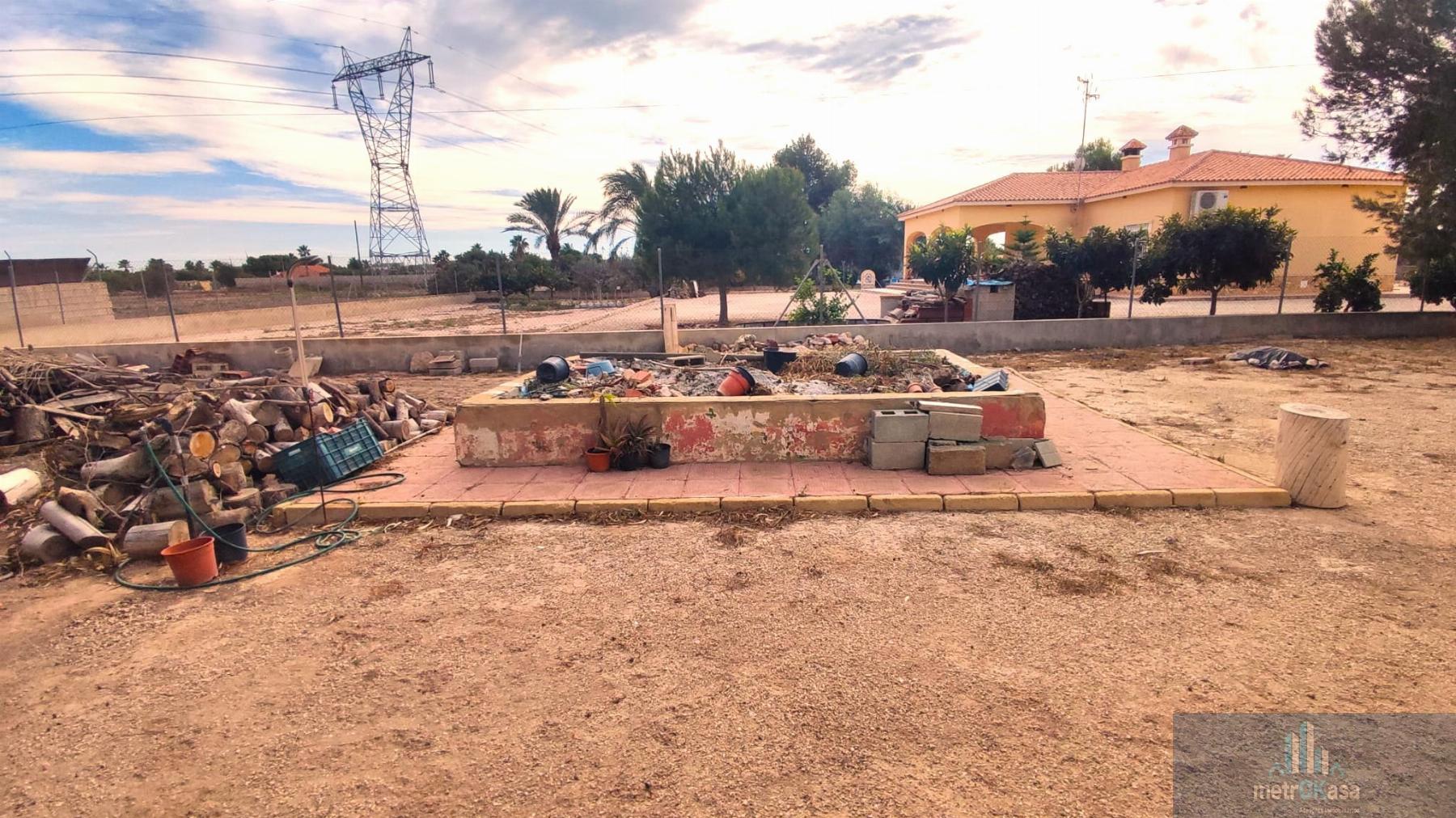 Venta de finca rústica en Elche-Elx